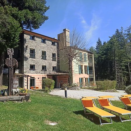 Il Bosco Di Campo Marzano Studios Борцонаска Экстерьер фото