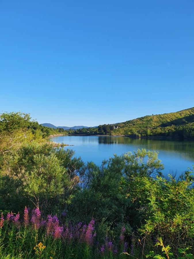 Il Bosco Di Campo Marzano Studios Борцонаска Экстерьер фото