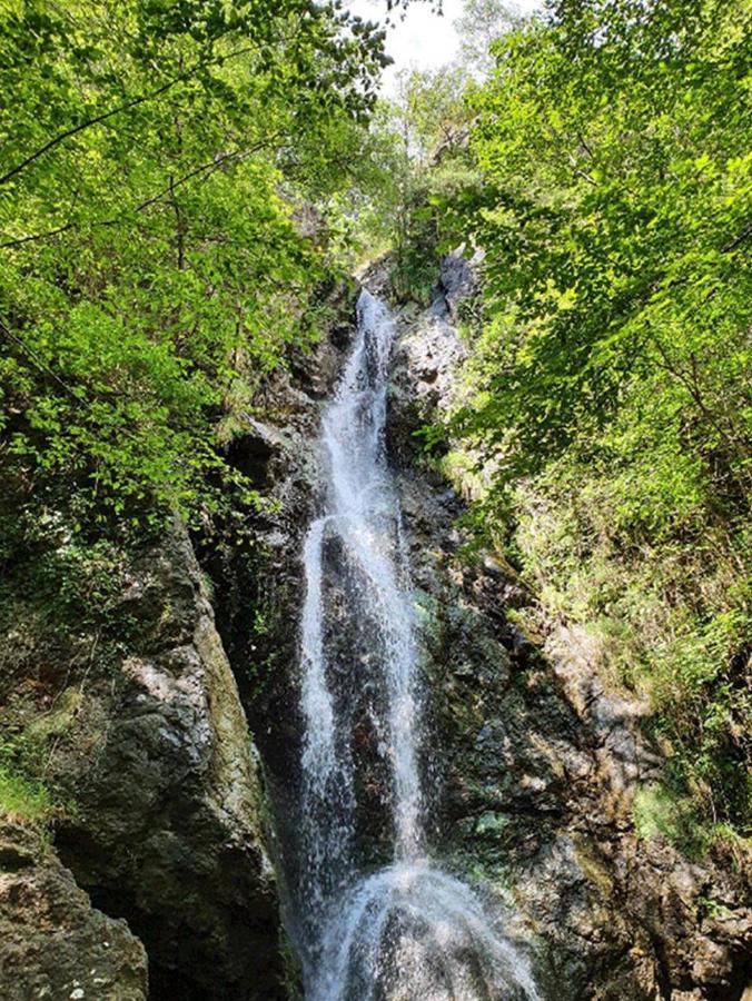 Il Bosco Di Campo Marzano Studios Борцонаска Экстерьер фото