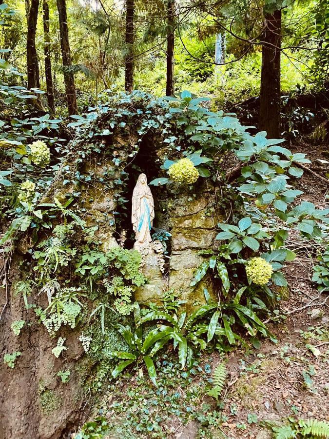 Il Bosco Di Campo Marzano Studios Борцонаска Экстерьер фото