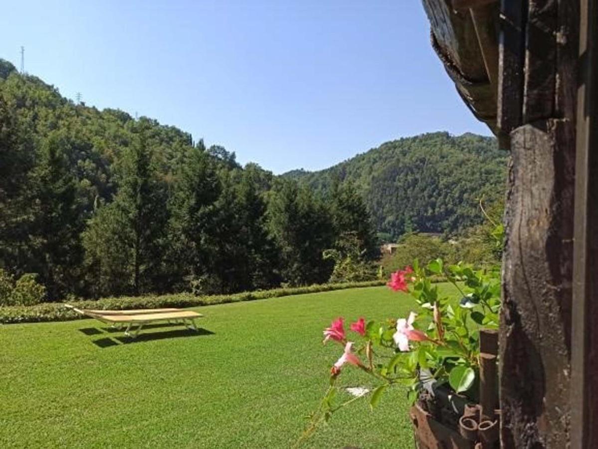 Il Bosco Di Campo Marzano Studios Борцонаска Экстерьер фото