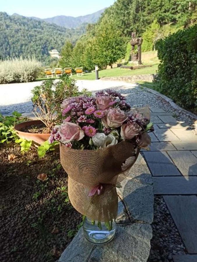 Il Bosco Di Campo Marzano Studios Борцонаска Экстерьер фото