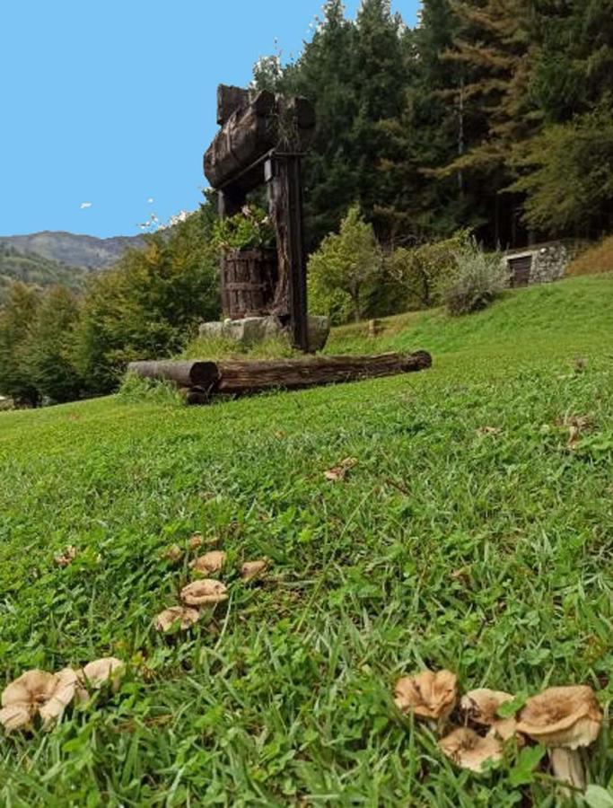 Il Bosco Di Campo Marzano Studios Борцонаска Экстерьер фото
