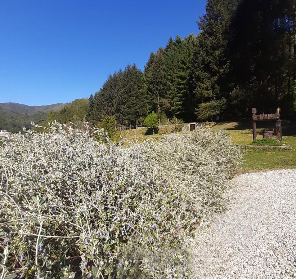 Il Bosco Di Campo Marzano Studios Борцонаска Экстерьер фото