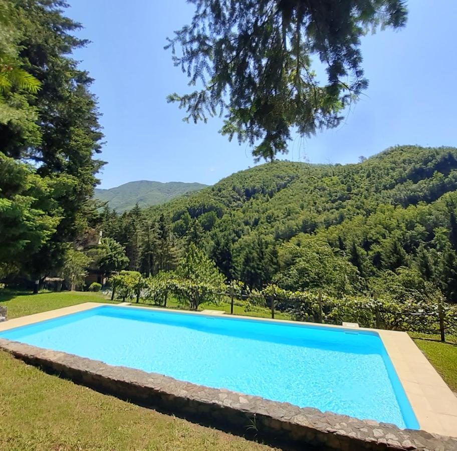 Il Bosco Di Campo Marzano Studios Борцонаска Экстерьер фото