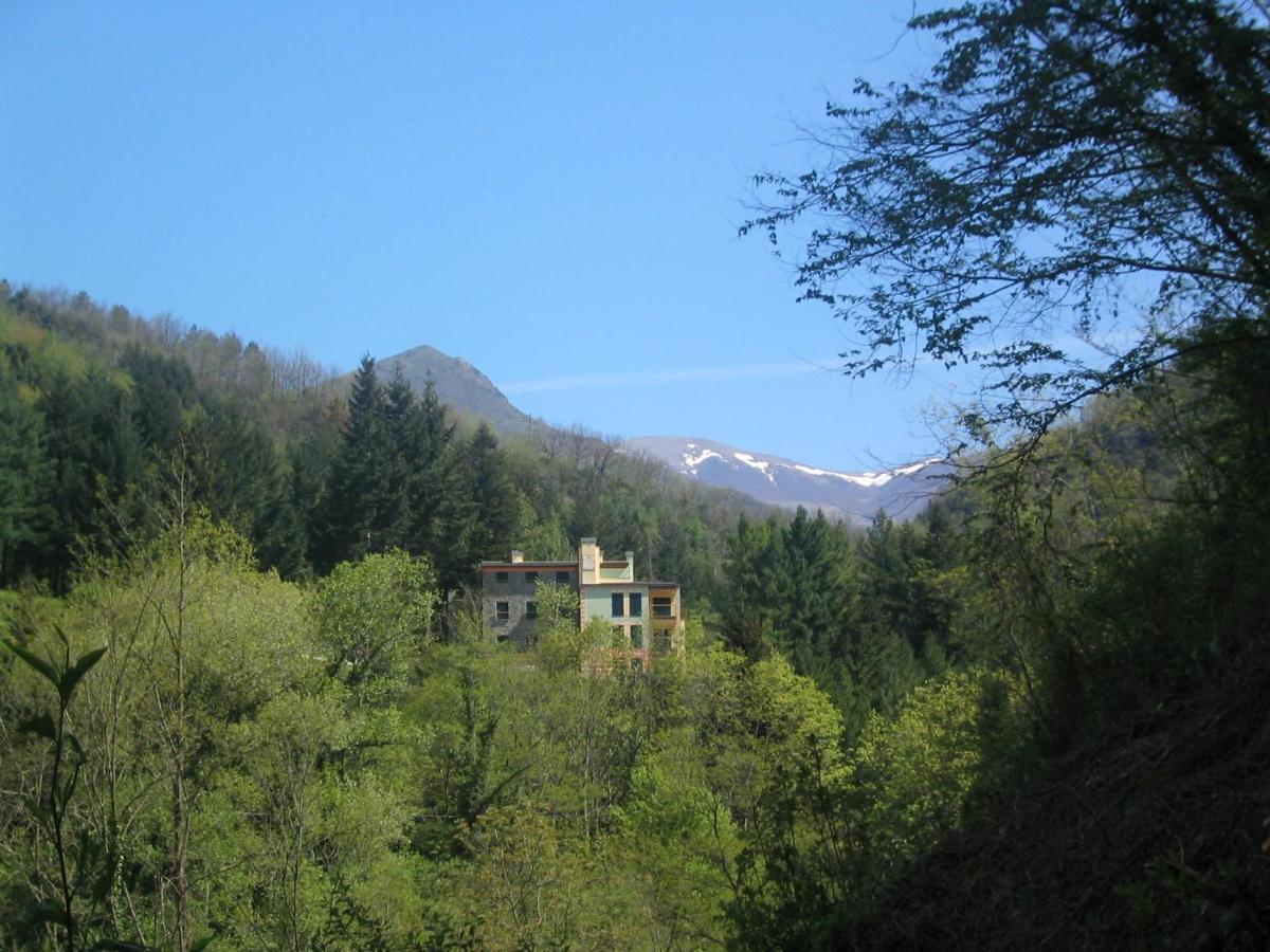 Il Bosco Di Campo Marzano Studios Борцонаска Экстерьер фото