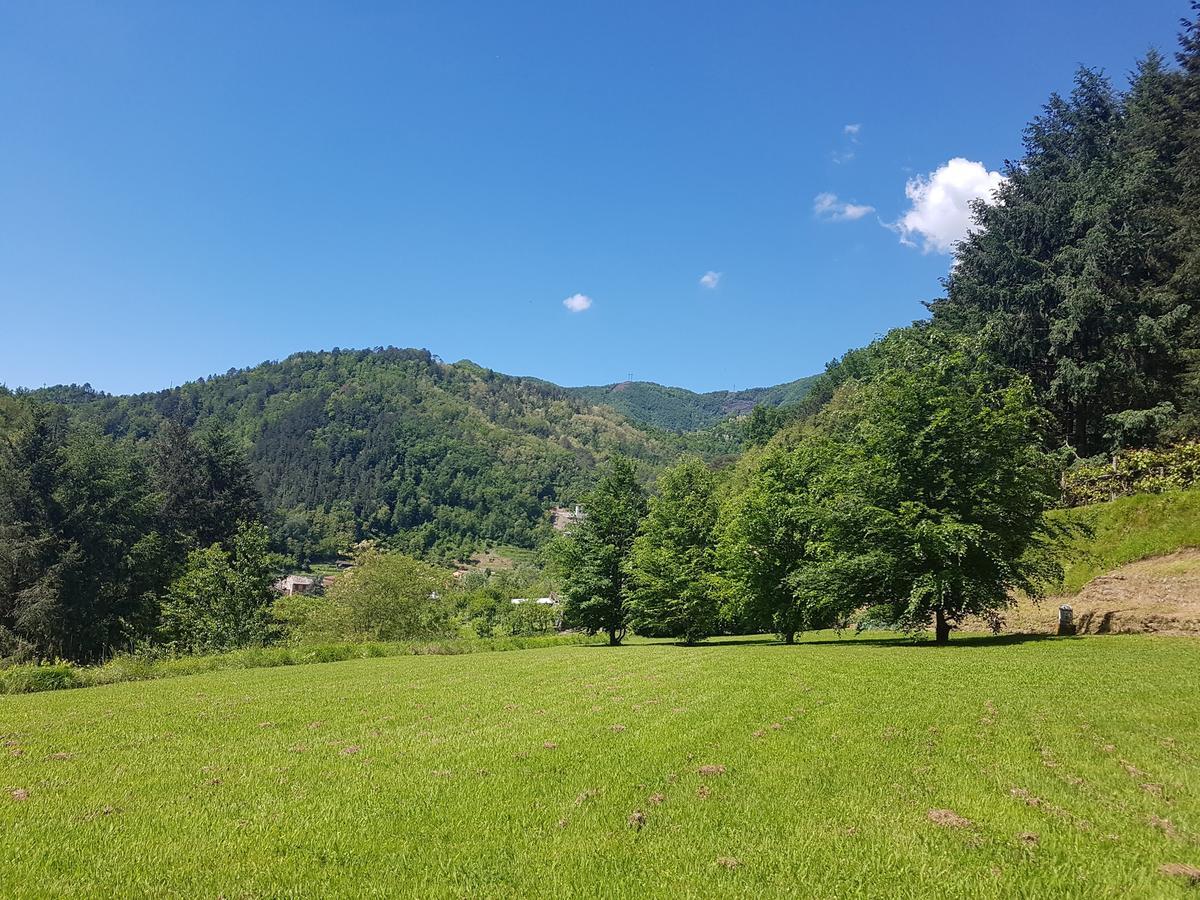Il Bosco Di Campo Marzano Studios Борцонаска Экстерьер фото