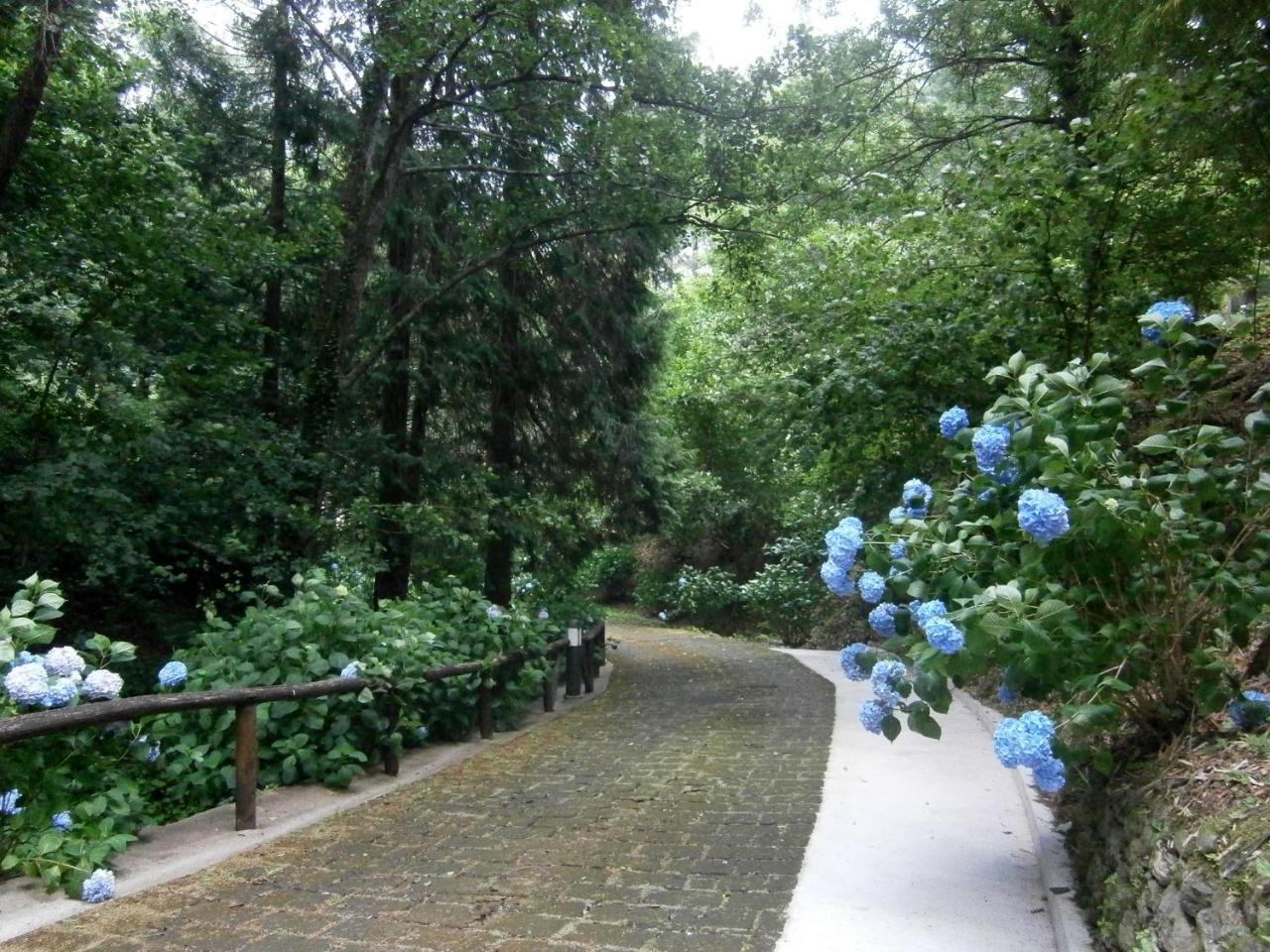 Il Bosco Di Campo Marzano Studios Борцонаска Экстерьер фото