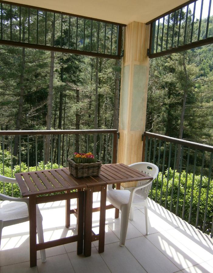 Il Bosco Di Campo Marzano Studios Борцонаска Экстерьер фото
