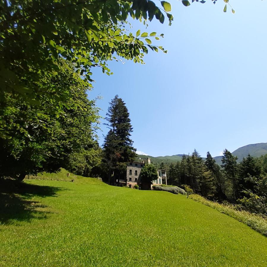 Il Bosco Di Campo Marzano Studios Борцонаска Экстерьер фото