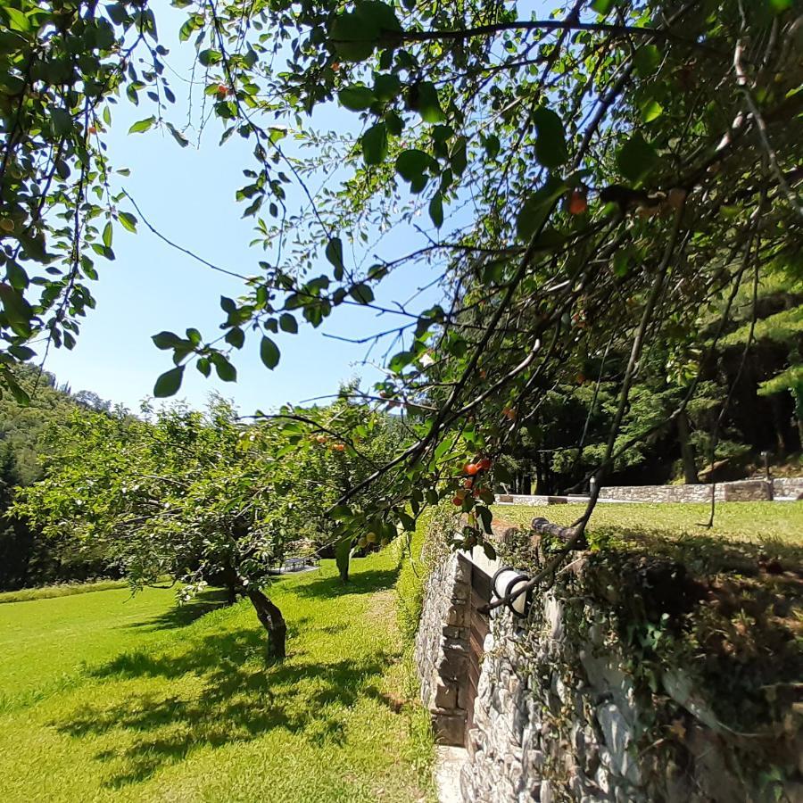 Il Bosco Di Campo Marzano Studios Борцонаска Экстерьер фото